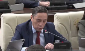 "Жасөспірімдер біліксіз блогерлерге еліктеп барады" - депутат