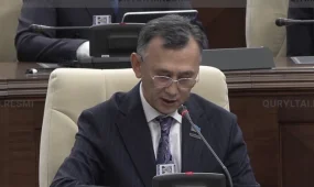 Штрафы и аресты не помогают: депутаты предлагают жестче бороться с авторами граффити