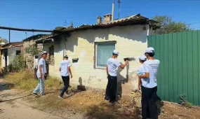 Есірткі жарнамалағандарға қатысты 74 қылмыстық іс қозғалды