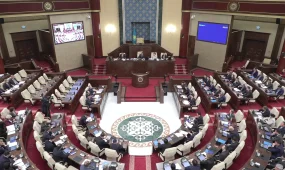 Депутат түн тыныштығын бұзғандарды анықтайтын технология  енгізуді ұсынды