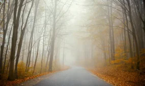 Тұман, үсік және жаңбыр: бірнеше өңірде дауылды ескерту жарияланды