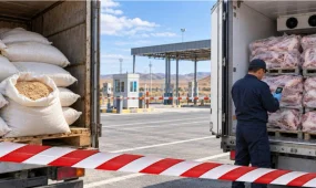 "Сырым" бекетінде 40 тонна кебек пен 20 тонна қой еті кері қайтарылды