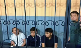 За мат в ТикТоке арестовали четверых блогеров из Шымкента