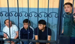 TikTok-та балағат сөз айтқан төрт блогер қамауға алынды