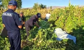 Жамбыл облысында тұрғынның үй іргесіндегі алқабынан 140 келі қарасора тәркіленді