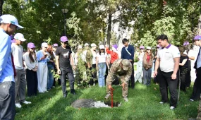 Участники акции «Қауіпсіз қала» выявили по Казахстану свыше 150 опасных объектов
