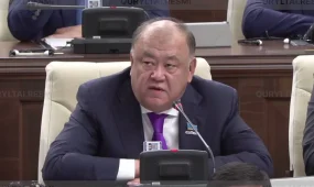 Мемлекеттік университеттердің автономиясын кеңейту қажет, - депутат