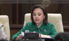 «Әділет» партиясы әр қала мен ауыл үшін тазалықтың цифрлық паспортын жасауды ұсынды