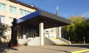 Студентов колледжа госпитализировали с подозрением на лишай в Петропавловске
