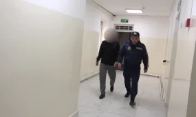 Түркістанда атыс болды. Бір адам қаза тапты. Көкпаршыларды көлік қақты.