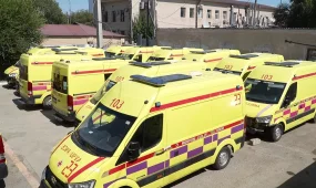 30 жастағы қыз анасын пышақтап өлтірді. Жедел жәрдем фельдшерін атып кетті.