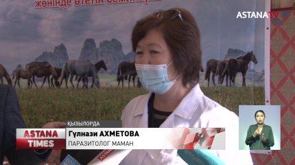 Жылқылары қырылған Жаңақорғанға Алматыдан ғалымдар келді