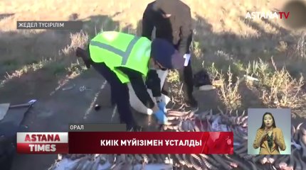 БҚО заңсыз аң аулайтындар 3 есеге өскен