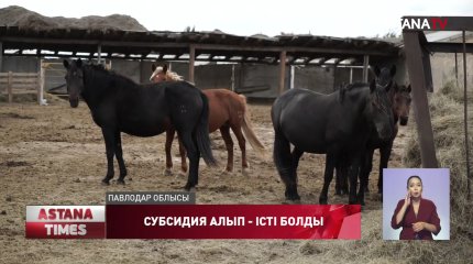 Павлодарда мемлекеттен субсидия алған фермерлердің басы дауға қалды