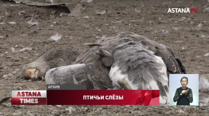 Выплаты за потери от птичьего гриппа повергли сельчан в настоящий шок