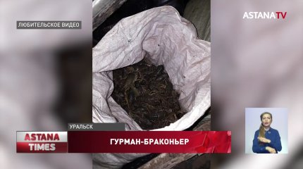 Почти полтонны раков нашли в машине у сельчанина: ему грозит тюремный срок