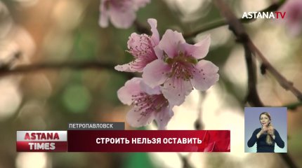 Экзотические растения в ботаническом саду могут погибнуть из-за планов чиновников в СКО