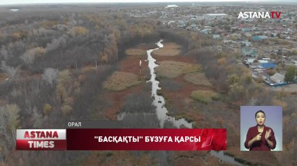 Жол құрылысы Оралдағы Басқақ тоғайына қауіп төндірді