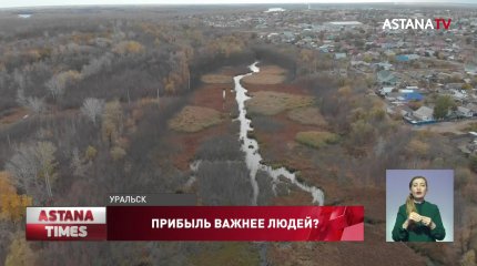 Старинную рощу с редкими животными могут уничтожить из-за строительства дороги в Уральске