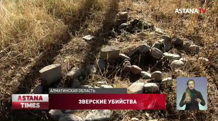 "Сжигают заживо и расчленяют", - душевнобольные зверски убивали животных в Алматинской области