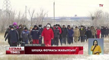Ақтөбенің Бестамақ аулының тұрғындары шошқа фермасына қарсы шықты