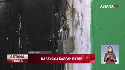 Қараусыз қалған пәтер қаңғыбастардың ордасына айналған