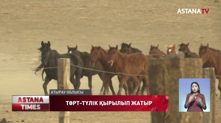 Төрт-түлік пойыз астына түсіп қырылып жатыр