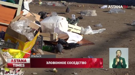 На крысиные набеги и невыносимую вонь жалуются жители Уральска