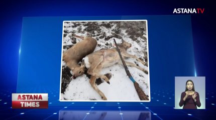Қостанай облысында 10 елік атқан күдіктілер ұсталды
