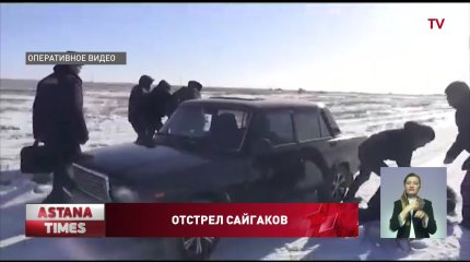 Две банды браконьеров задержали в Западном Казахстане
