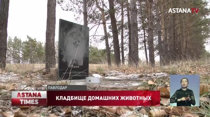 Незаконное кладбище домашних животных обнаружили в Павлодаре