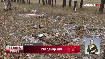 Незаконное кладбище домашних животных уничтожили в Павлодаре