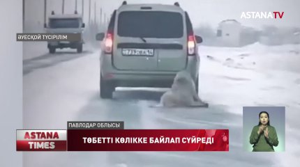 Төбетті көлігіне байлап сүйреген ақсақал жауапқа тартылатын болды