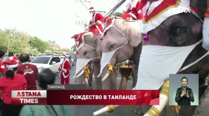 Слоны переоделись Санта-Клаусами и отправились в школы в Тайланде