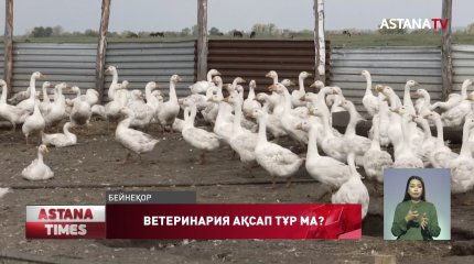 Ветеринария – жемқорлық жайлаған сала, - сенатор