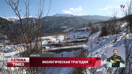 Новая экологическая трагедия в Алматы: о вырубке тысяч яблонь заявили активисты
