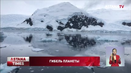 Coca-Cola, Pepsi и Nestle стали главными пластиковыми загрязнителями планеты