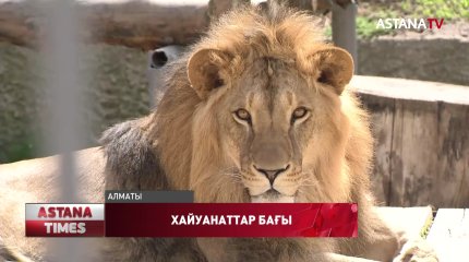Алматы хайуанаттар бағындағы маймылдар карантиннің біткенін күтіп жүр