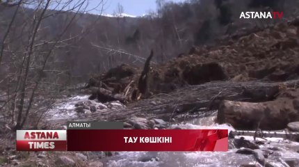 Толассыз жаңбырдан соң Алматыда тау көшкіні болды