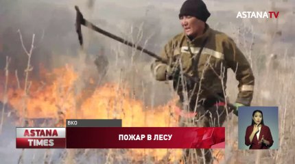 В Восточном Казахстане горит реликтовый ленточный бор