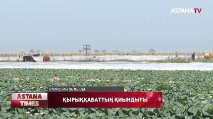 Түркістандық дихандар үкіметтен көмек сұрайды