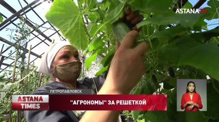 Осужденные в Петропавловске выращивают лимоны