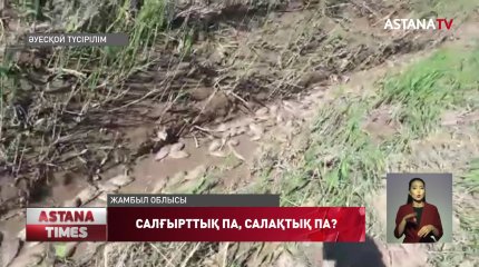 Жамбыл облысы Талас ауданындағы Ақкөл су айдынында балықтарды сала мамандарының салғырттығынан қырылып жатыр
