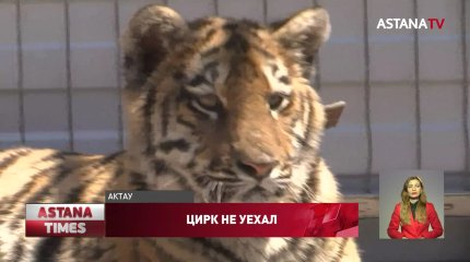 Директор российского цирка устроился дальнобойщиком в Актау, чтобы прокормить животных