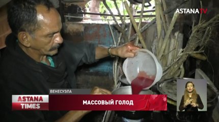 Люди пьют кровь животных, чтобы не умереть от голода в Венесуэле