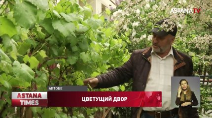 В райский сад превратили свой двор жители актюбинской многоэтажки