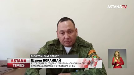 Массовые отравления рыбой угрожают Мактааральскому району