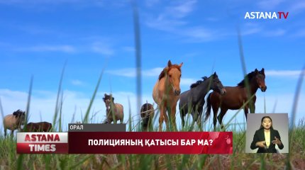 Барымташылардан жапа шеккен ауылдықтар тергеудің әділ жүргізілуін талап етіп отыр