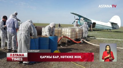 Павлодарда масаларды улау жұмыстары нәтиже бермеді