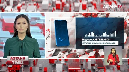 Ақмола облысының бүтін бір ауданын шыбын-шіркей басты